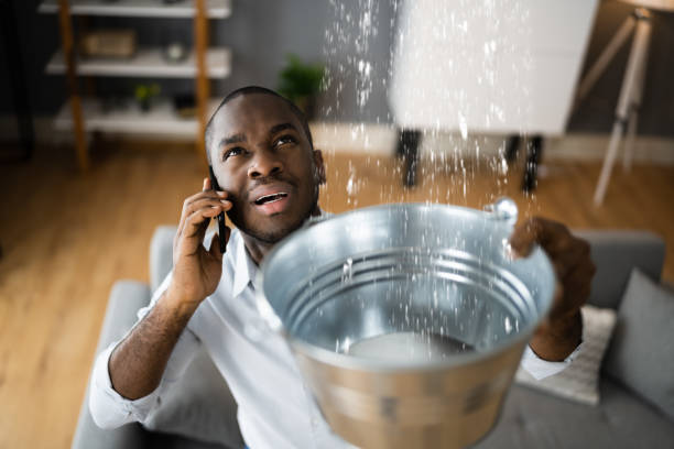 Best Basement water damage restoration  in Eddyville, KY