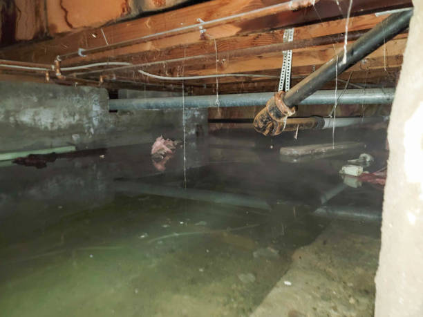  Eddyville, KY Water damage restoration Pros