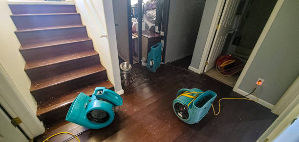 Best Water damage cleanup near me  in Eddyville, KY