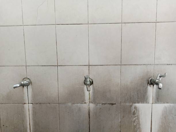 Best Sewage cleanup and water damage restoration  in Eddyville, KY