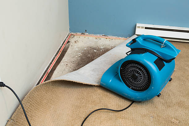 Best Carpet water damage restoration  in Eddyville, KY